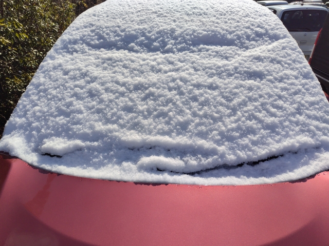 フロントガラスに雪が積もった自動車
