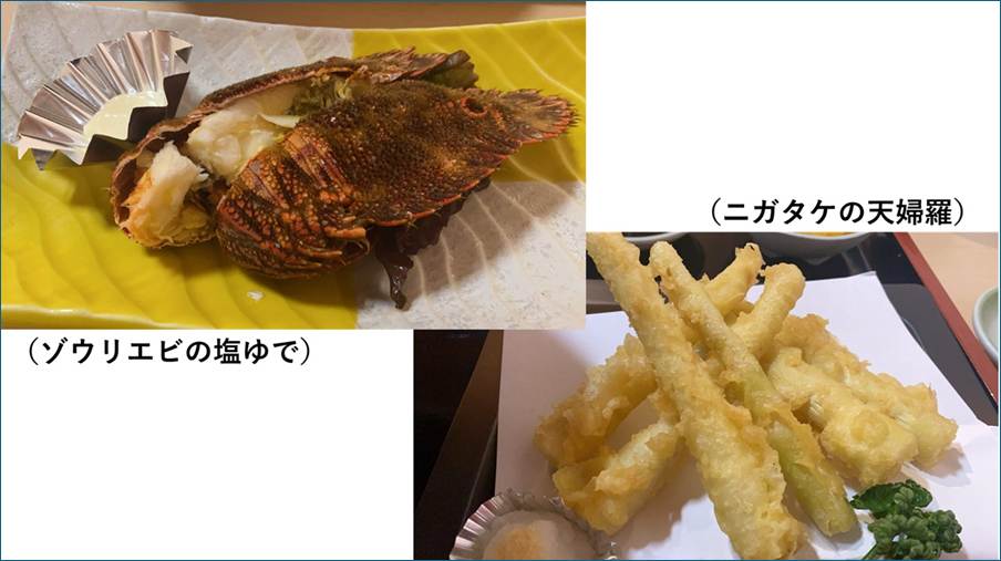 「味処 井元(いのもと)」で提供される料理